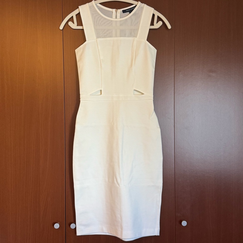 Bodycon Mesh White Dress